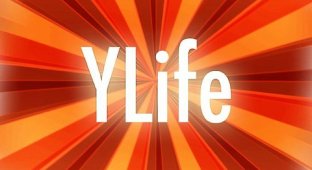 YourLife. Статистика собственной жизни