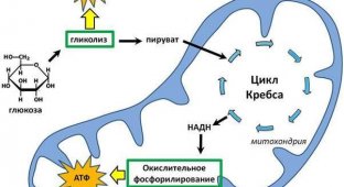 Вентиляция часть 1 - проветривание